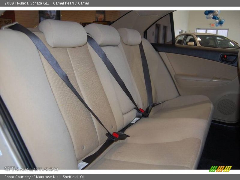 Camel Pearl / Camel 2009 Hyundai Sonata GLS