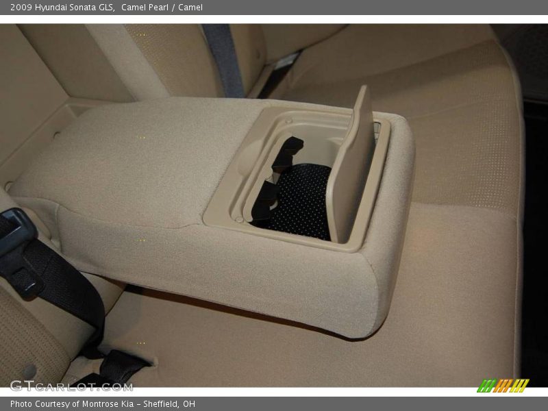 Camel Pearl / Camel 2009 Hyundai Sonata GLS