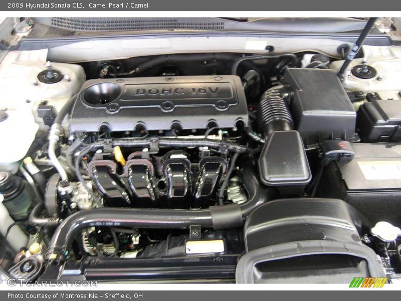 Camel Pearl / Camel 2009 Hyundai Sonata GLS