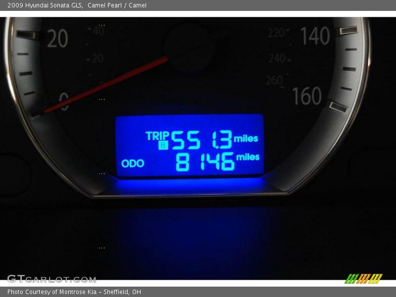 Camel Pearl / Camel 2009 Hyundai Sonata GLS