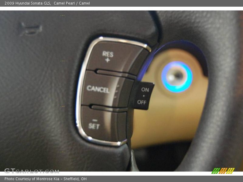 Camel Pearl / Camel 2009 Hyundai Sonata GLS