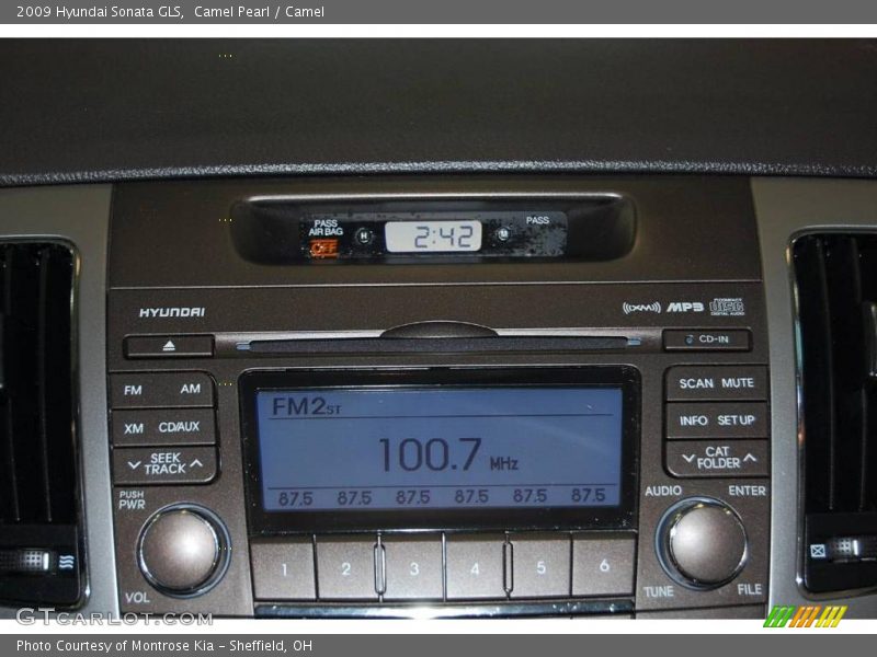 Camel Pearl / Camel 2009 Hyundai Sonata GLS