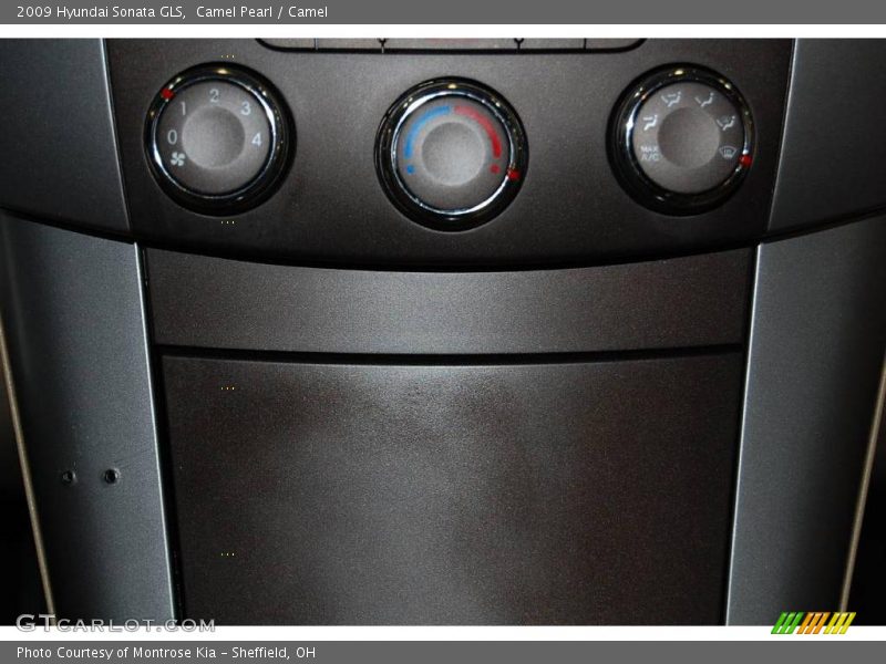 Camel Pearl / Camel 2009 Hyundai Sonata GLS