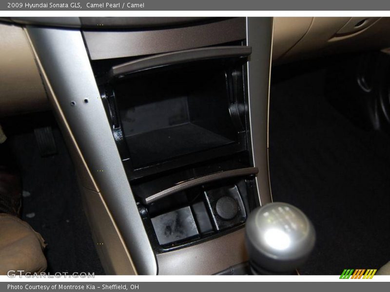 Camel Pearl / Camel 2009 Hyundai Sonata GLS