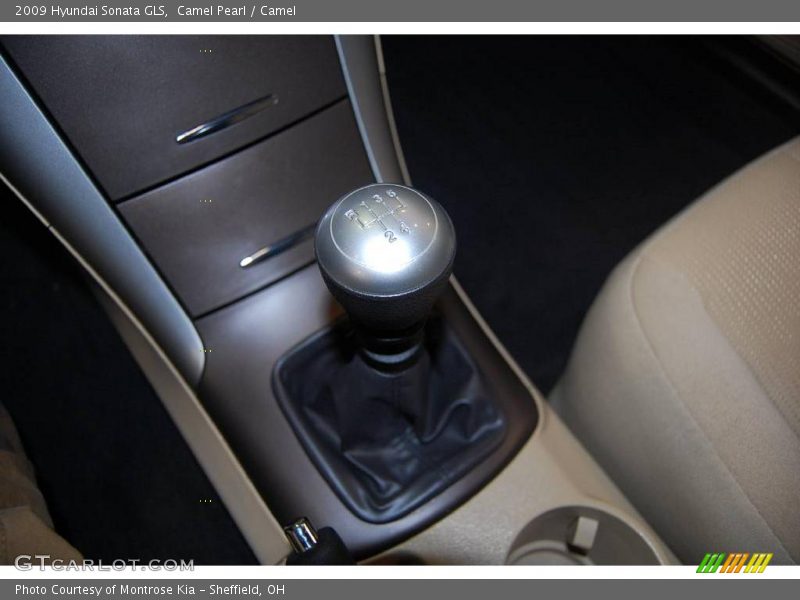 Camel Pearl / Camel 2009 Hyundai Sonata GLS