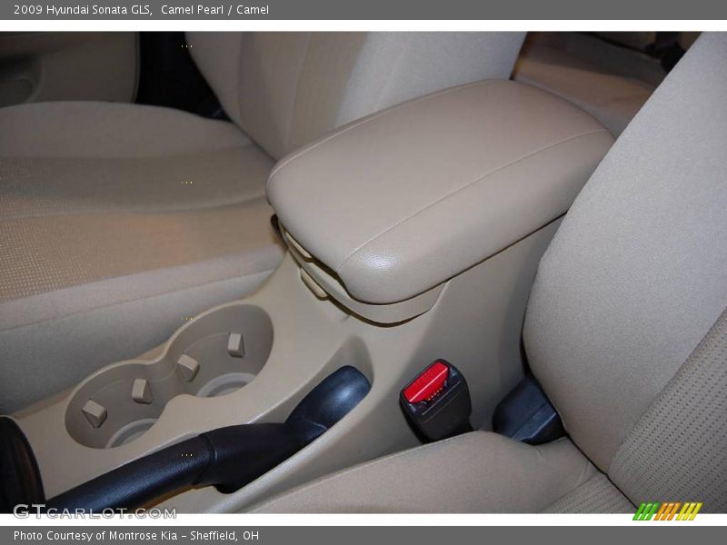 Camel Pearl / Camel 2009 Hyundai Sonata GLS