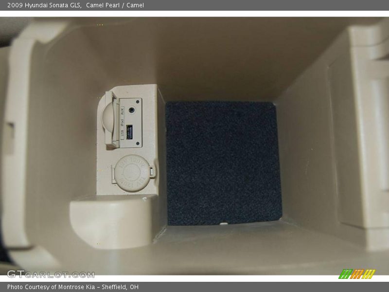 Camel Pearl / Camel 2009 Hyundai Sonata GLS