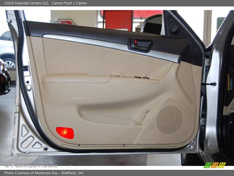 Camel Pearl / Camel 2009 Hyundai Sonata GLS