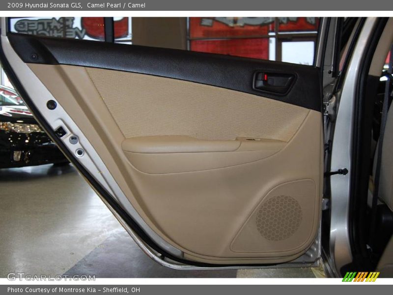 Camel Pearl / Camel 2009 Hyundai Sonata GLS