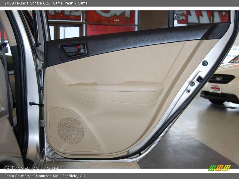 Camel Pearl / Camel 2009 Hyundai Sonata GLS
