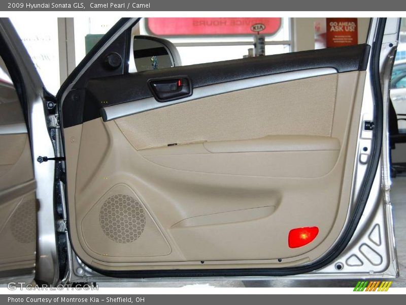 Camel Pearl / Camel 2009 Hyundai Sonata GLS
