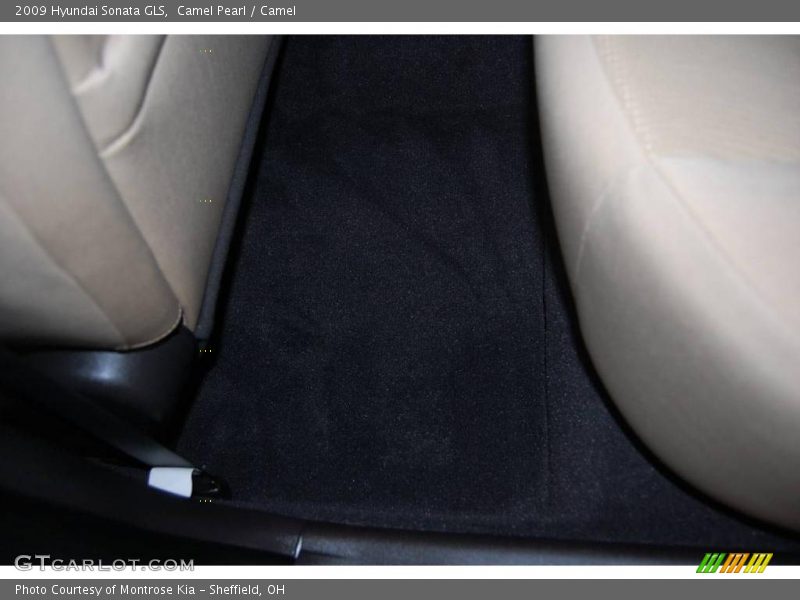 Camel Pearl / Camel 2009 Hyundai Sonata GLS