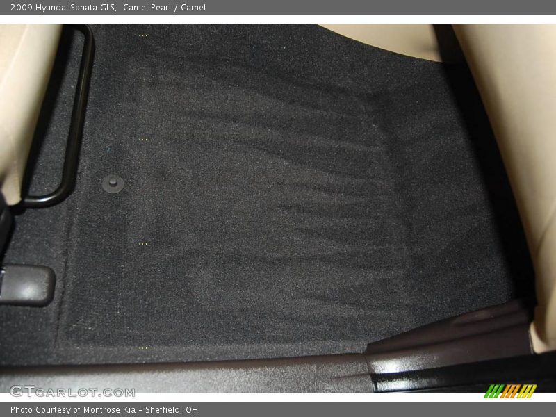 Camel Pearl / Camel 2009 Hyundai Sonata GLS