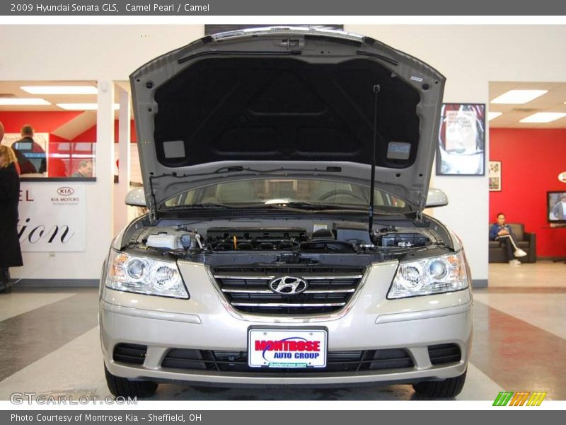 Camel Pearl / Camel 2009 Hyundai Sonata GLS