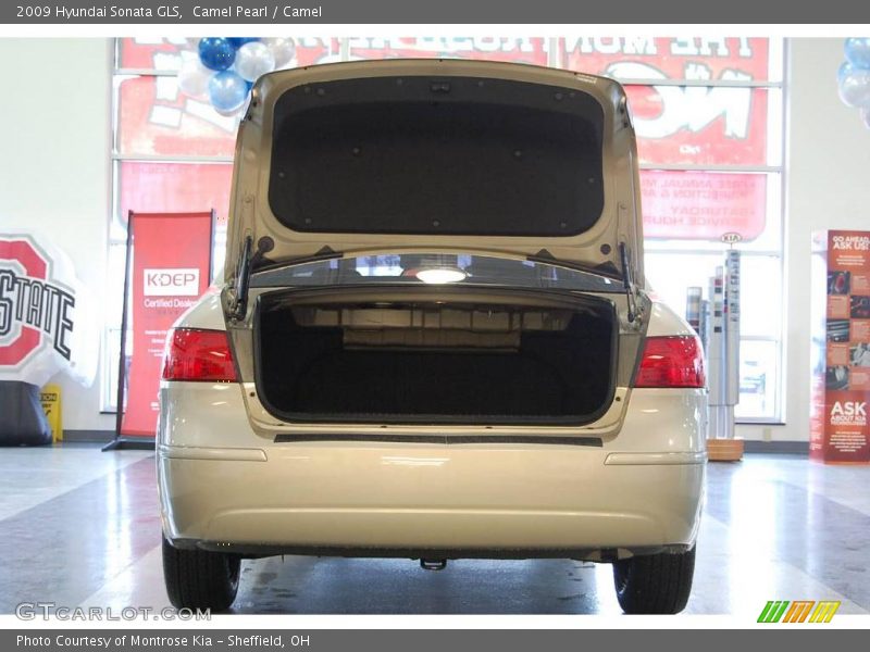 Camel Pearl / Camel 2009 Hyundai Sonata GLS