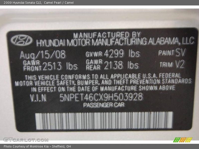 Camel Pearl / Camel 2009 Hyundai Sonata GLS