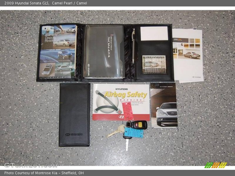 Camel Pearl / Camel 2009 Hyundai Sonata GLS