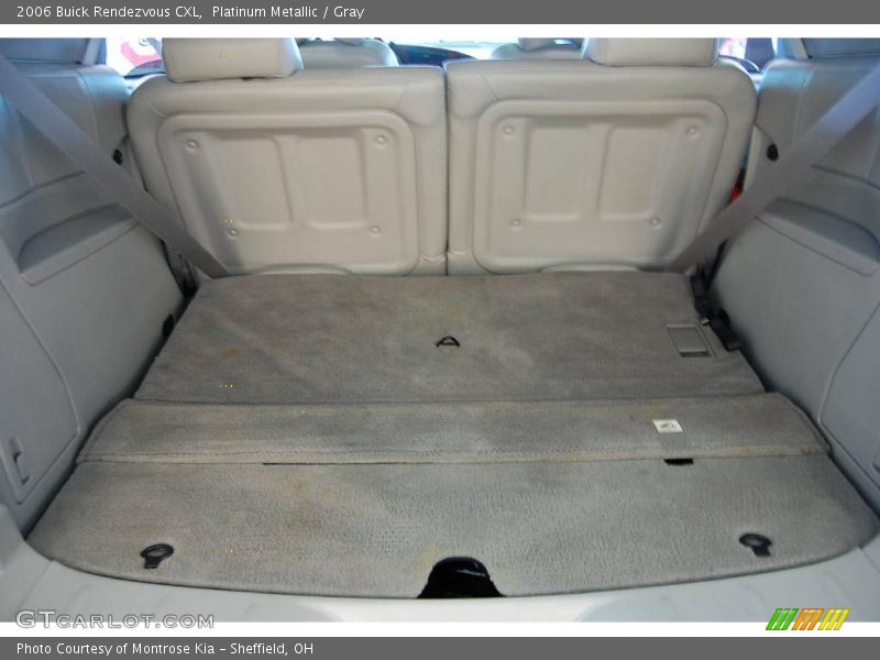 Platinum Metallic / Gray 2006 Buick Rendezvous CXL