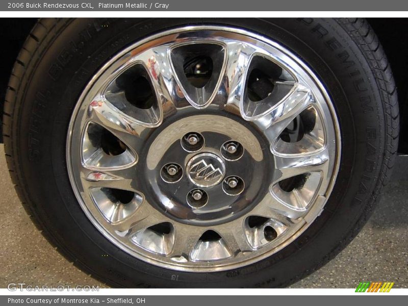 Platinum Metallic / Gray 2006 Buick Rendezvous CXL