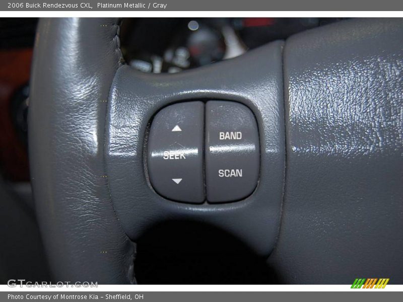 Platinum Metallic / Gray 2006 Buick Rendezvous CXL