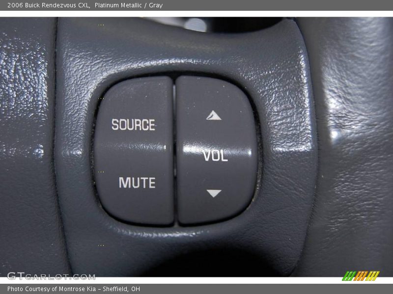 Platinum Metallic / Gray 2006 Buick Rendezvous CXL
