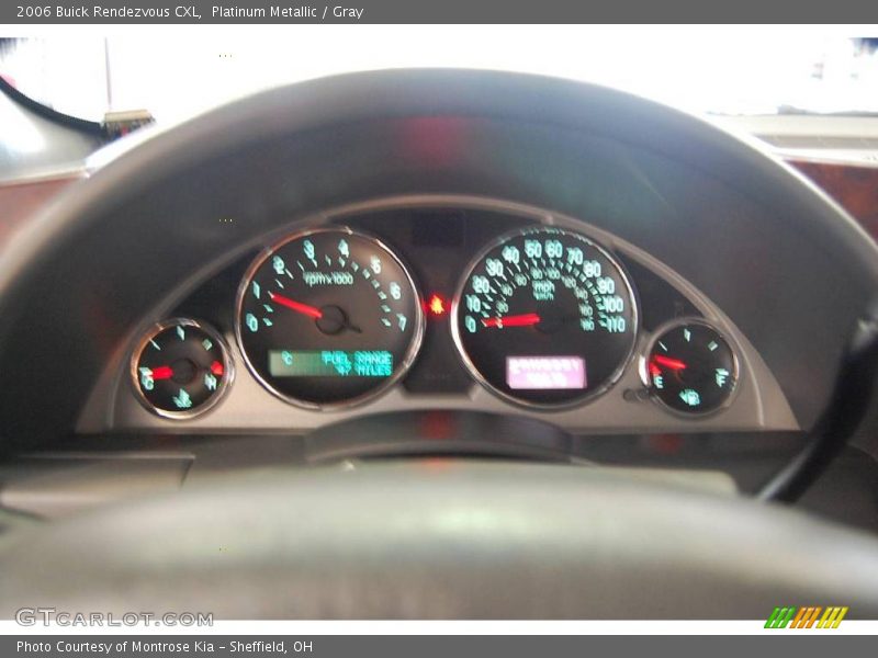 Platinum Metallic / Gray 2006 Buick Rendezvous CXL
