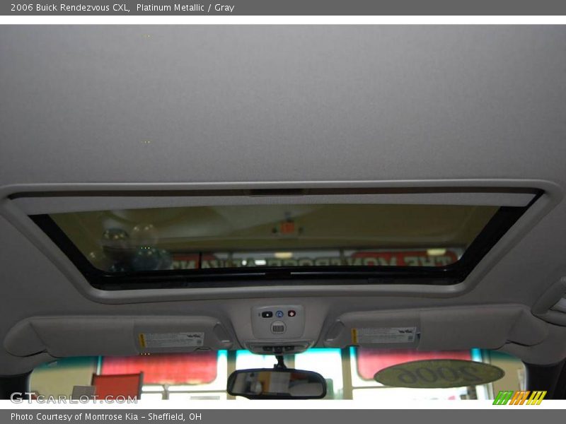 Platinum Metallic / Gray 2006 Buick Rendezvous CXL