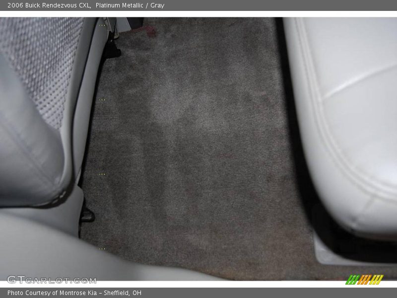 Platinum Metallic / Gray 2006 Buick Rendezvous CXL