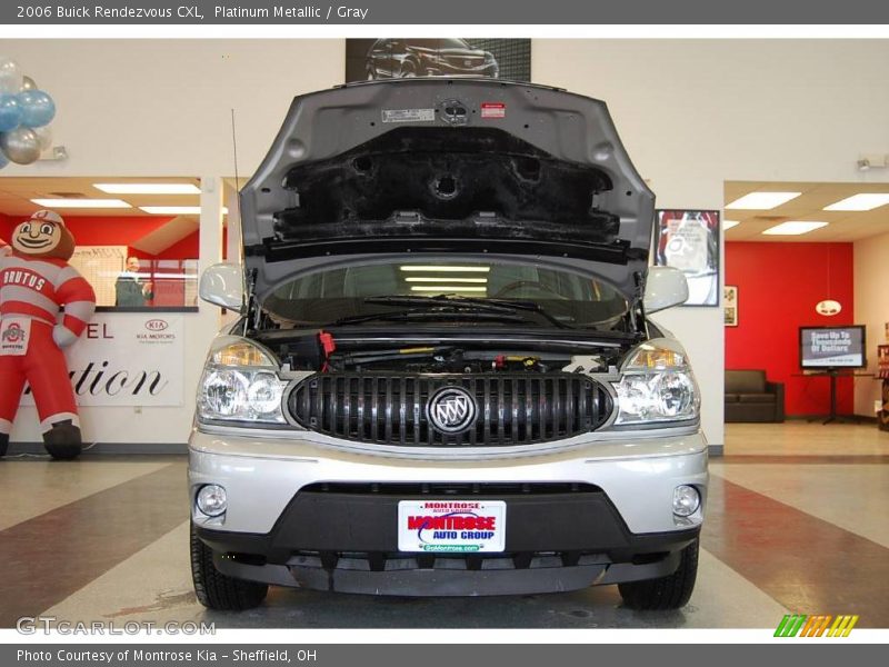 Platinum Metallic / Gray 2006 Buick Rendezvous CXL