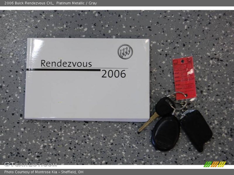 Platinum Metallic / Gray 2006 Buick Rendezvous CXL