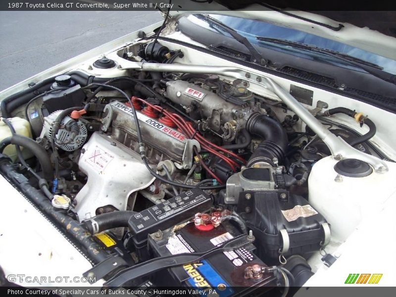Super White II / Gray 1987 Toyota Celica GT Convertible