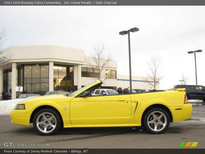 Zinc Yellow Metallic / Dark Charcoal 2001 Ford Mustang Cobra Convertible