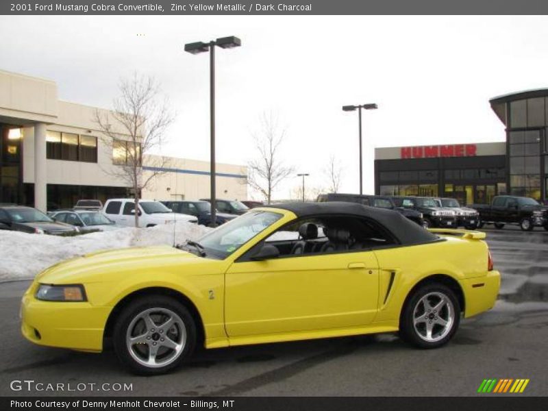Zinc Yellow Metallic / Dark Charcoal 2001 Ford Mustang Cobra Convertible