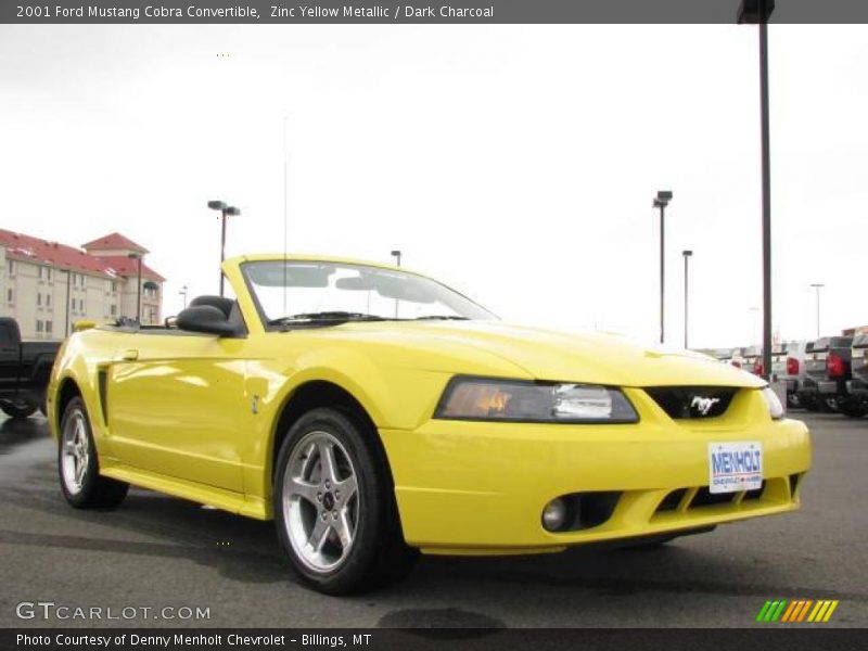 Zinc Yellow Metallic / Dark Charcoal 2001 Ford Mustang Cobra Convertible