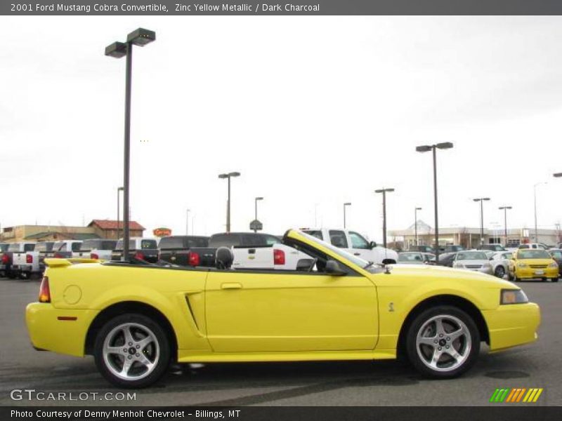 Zinc Yellow Metallic / Dark Charcoal 2001 Ford Mustang Cobra Convertible