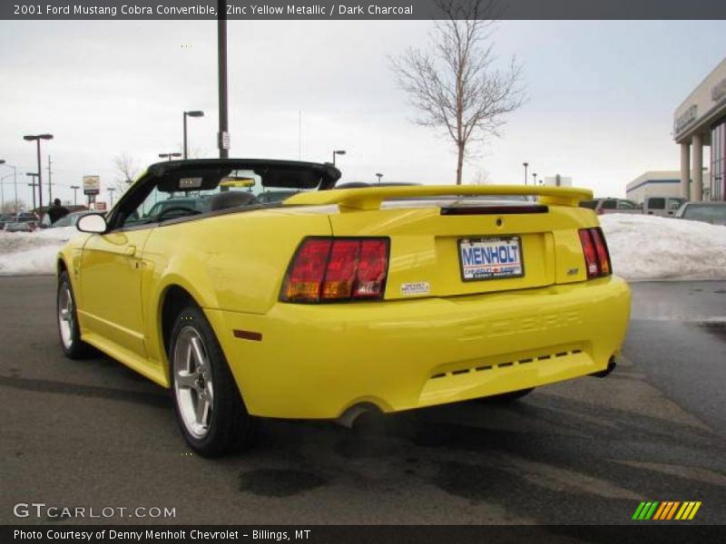 Zinc Yellow Metallic / Dark Charcoal 2001 Ford Mustang Cobra Convertible