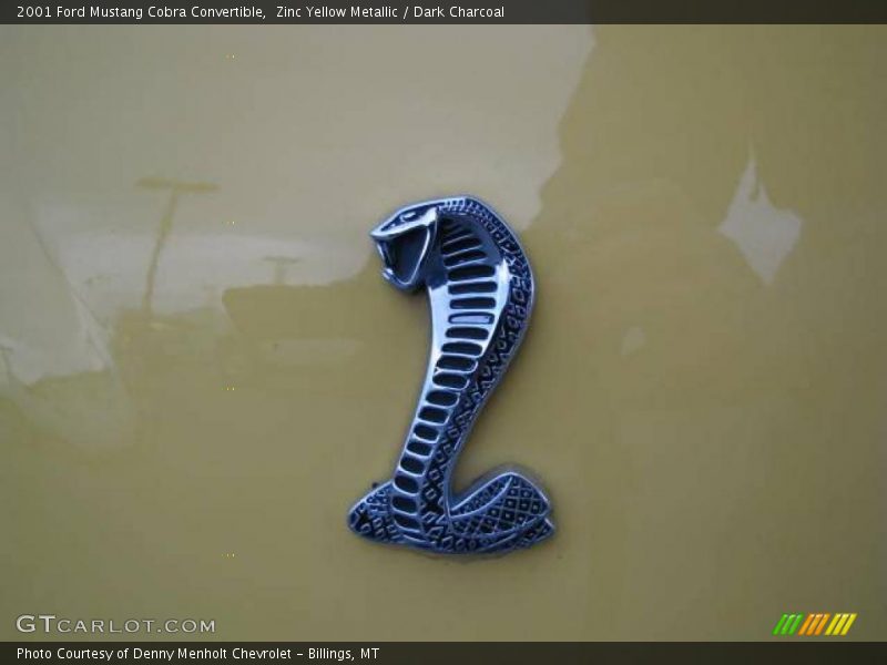 Zinc Yellow Metallic / Dark Charcoal 2001 Ford Mustang Cobra Convertible