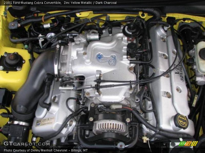 Zinc Yellow Metallic / Dark Charcoal 2001 Ford Mustang Cobra Convertible