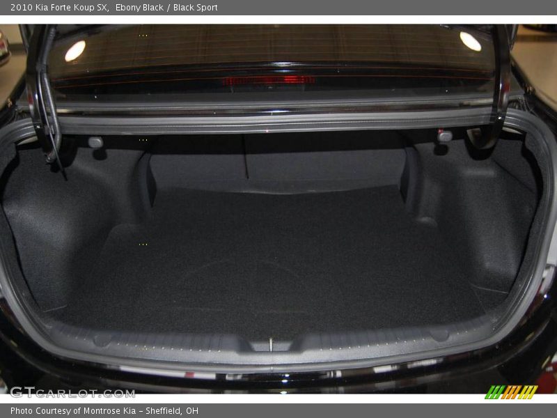 Ebony Black / Black Sport 2010 Kia Forte Koup SX
