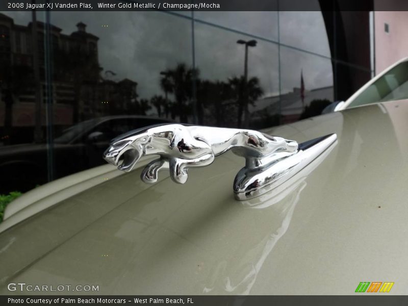 Winter Gold Metallic / Champagne/Mocha 2008 Jaguar XJ Vanden Plas