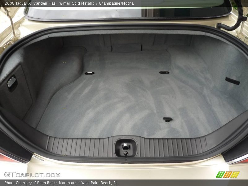 Winter Gold Metallic / Champagne/Mocha 2008 Jaguar XJ Vanden Plas