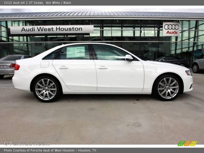 Ibis White / Black 2010 Audi A4 2.0T Sedan