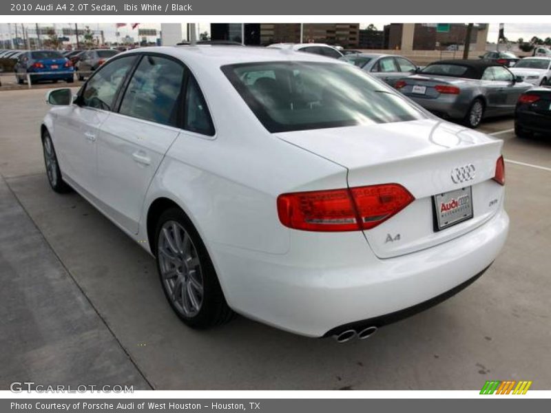 Ibis White / Black 2010 Audi A4 2.0T Sedan