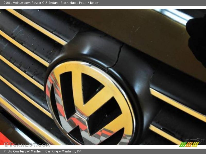 Black Magic Pearl / Beige 2001 Volkswagen Passat GLS Sedan