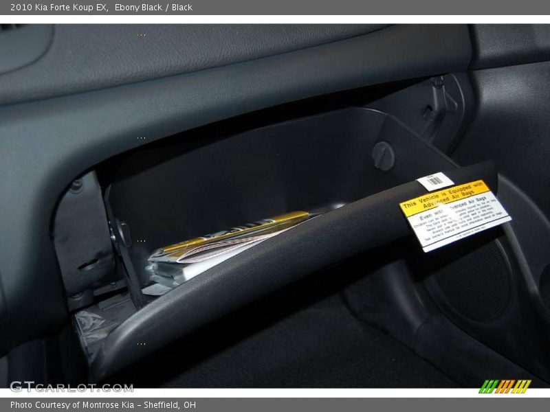 Ebony Black / Black 2010 Kia Forte Koup EX