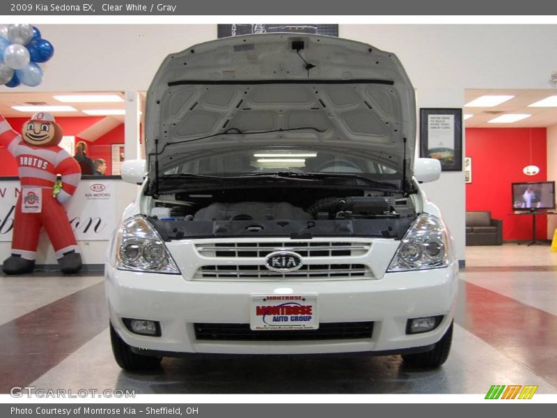 Clear White / Gray 2009 Kia Sedona EX