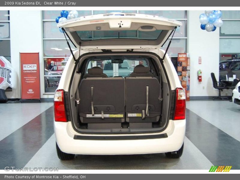 Clear White / Gray 2009 Kia Sedona EX