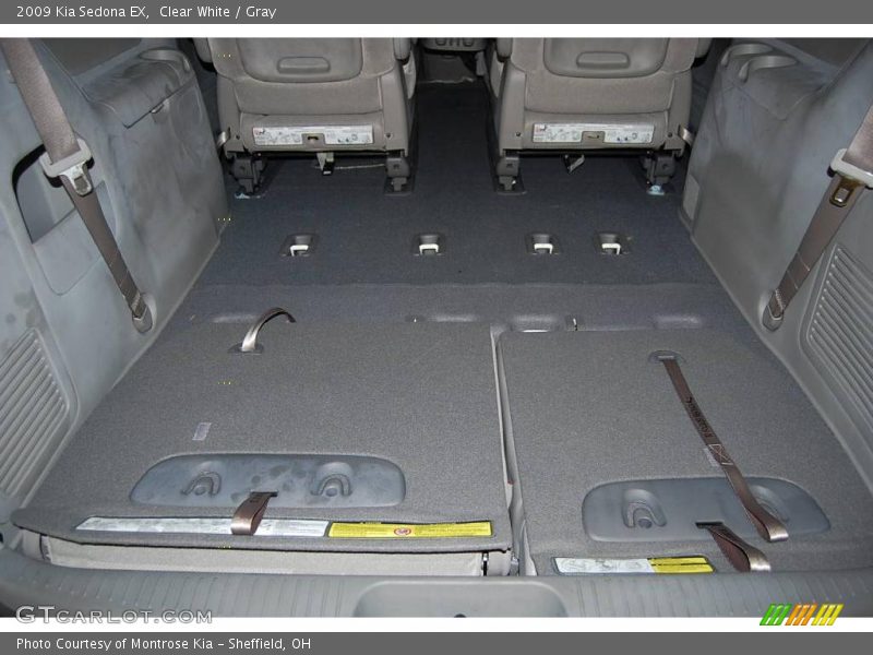 Clear White / Gray 2009 Kia Sedona EX