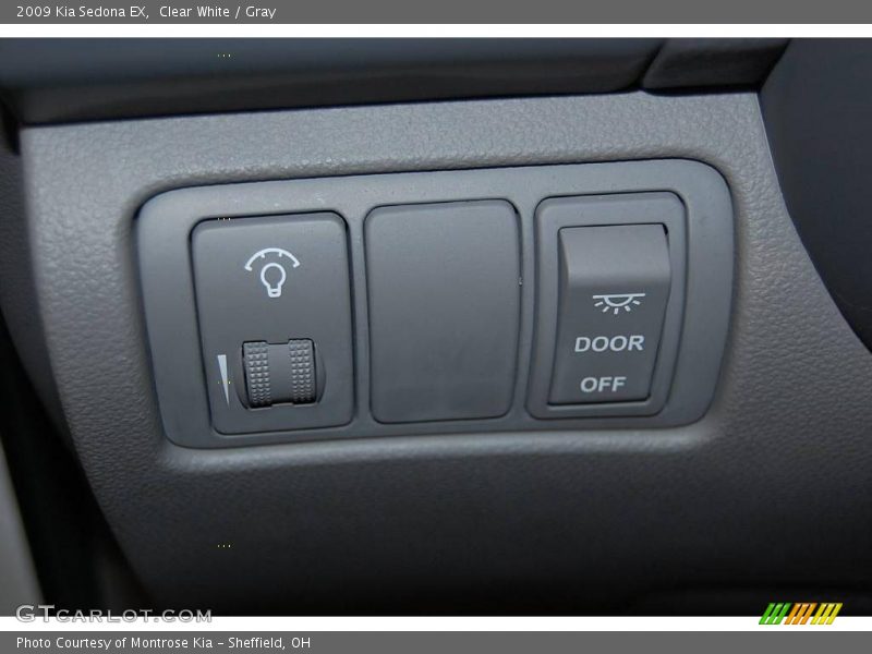 Clear White / Gray 2009 Kia Sedona EX