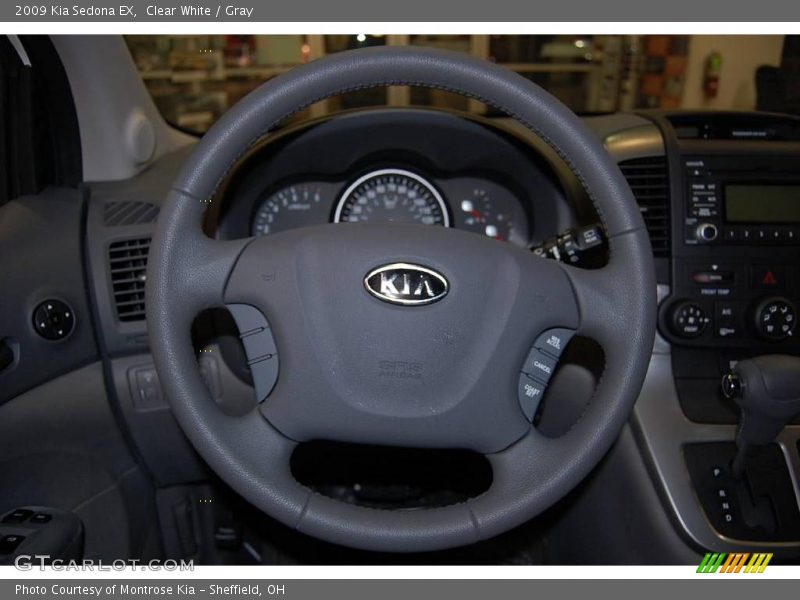 Clear White / Gray 2009 Kia Sedona EX